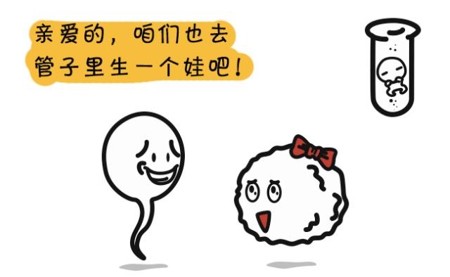 试管婴儿是什么意思